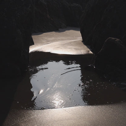 Back Cut /  color VERDE OLIVO / Terciopelo stretch.